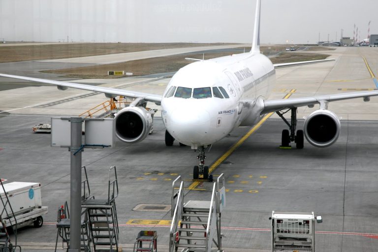 Leading the Way in Style 5 paris airport airplane aircraft france vehicle 330540 pxhere.com